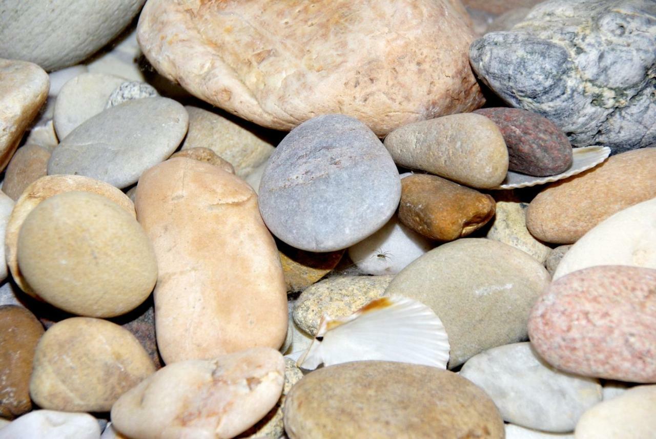 O'Maxethel Panzió Soullans Kültér fotó